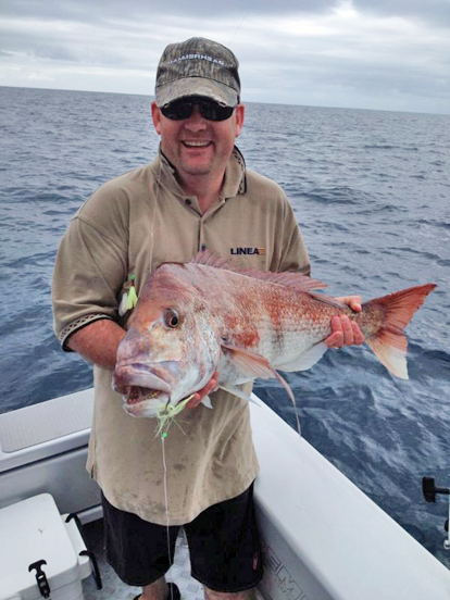 snapper
